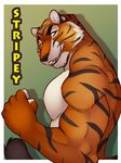  anthro fangs feline flexing fur inktiger male mammal muscular nude smile solo teeth tiger 