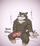  2015 abs anthro biceps canine fur male mammal muscular muscular_male nipples nude pecs penis precum rossi_thukigata wolf 