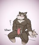  2015 abs anthro biceps canine fur male mammal muscular muscular_male nipples nude pecs penis rossi_thukigata wolf 