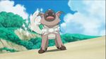  animated animated_gif kaki_(pokemon) lillie_(pokemon) mamane_(pokemon) mao_(pokemon) pikachu pokemon pokemon_(anime) pokemon_sm_(anime) rockruff satoshi_(pokemon) suiren_(pokemon 