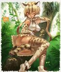  2017 animal_ears animal_print artist_name ass bangs bare_shoulders blonde_hair bow bow_legwear bowtie breasts brown_dress brown_gloves commentary_request dated dress elbow_gloves eyebrows_visible_through_hair forest gloves hair_between_eyes hand_up high-waist_skirt highres in_tree japari_symbol kemono_friends leaf legs_together long_hair looking_at_viewer lying medium_breasts miniskirt nature no_panties ocelot_(kemono_friends) ocelot_ears ocelot_print ocelot_tail on_side one_eye_closed open_mouth outdoors paw_pose plant print_legwear sayukino shirt shoes short_dress sitting sitting_in_tree skirt sleeveless sleeveless_shirt solo tail tail_censor thighhighs tree white_footwear white_gloves white_shirt yellow_eyes 