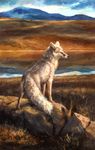  2017 ambiguous_gender black_eyes canine corsac_fox feral fox fur grass kenket mammal mountain outside painting_(artwork) rear_view river rock smile solo traditional_media_(artwork) water white_fur yellow_sclera 