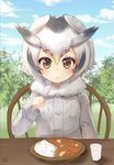  blue_sky brown_eyes buttons chair cloud cloudy_sky curry day eyebrows_visible_through_hair food fur_collar fur_trim grass head_wings highres holding holding_spoon jacket kemono_friends long_sleeves looking_at_viewer multicolored_hair nayuhi_(yukimuu14) northern_white-faced_owl_(kemono_friends) outdoors short_hair sitting sky solo spoon table tree upper_body white_hair 