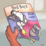  2017 avian beak bird feathers grey_feathers lying magazine on_back owl suggestive tuke 