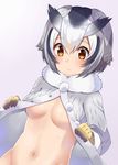  bangs blush bottomless breasts brown_eyes dress embarrassed eyebrows_visible_through_hair fur_collar fur_trim gloves gomashi_(goma) gradient gradient_background grey_dress head_wings highres kemono_friends long_sleeves looking_at_viewer looking_down md5_mismatch medium_breasts multicolored_hair navel no_bra northern_white-faced_owl_(kemono_friends) opened_by_self short_hair solo underboob upper_body white_hair 