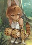  animal_ears bare_shoulders bow bowtie breasts brown_hair elbow_gloves gloves highres kemono_friends medium_breasts serval_(kemono_friends) serval_ears serval_tail short_hair smile solo squatting striped_tail tail toro_(konirio) yellow_eyes 