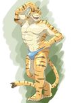  clothing feline mammal pose simple_background tiger treadway underwear 