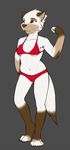  2017 anthro bikini breasts canine clothing female ivory-raven kauko mammal solo standing swimsuit wolf 
