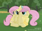  2017 blush crossgender cutie_mark duo equine feathered_wings feathers female feral fluttershy_(mlp) friendship_is_magic grass green_eyes hair hi_res looking_at_viewer mammal my_little_pony outside pegasus pink_hair shutterflyeqd smile wings yellow_feathers 