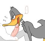  all_fours anthro avian balls bird blush bugs_bunny daffy_duck duck erection feathers half-closed_eyes lagomorph licking looney_tunes male male/male mammal open_mouth oral penis penis_lick rabbit sex simple_background sitting sound_effects sweat tongue tongue_out vein veiny_penis warner_brothers zehn 