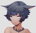  :3 animal_ears bare_shoulders black_hair blue_eyes cat_ears closed_mouth collar collarbone dark_skin ears_down eyebrows_visible_through_hair face final_fantasy final_fantasy_xiv grey_background looking_at_viewer miqo'te nagu pink_lips portrait signature simple_background solo upper_body 