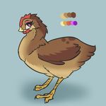  2017 alorix avian bird chicken feathers feral solo 