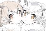  bad_id bad_pixiv_id brown_eyes brown_hair cheek-to-cheek eurasian_eagle_owl_(kemono_friends) expressionless eyebrows eyebrows_visible_through_hair eyelashes fur_collar grey_hair hair_between_eyes head_wings kanimura_ebio kemono_friends looking_at_viewer multicolored_hair multiple_girls northern_white-faced_owl_(kemono_friends) partially_colored portrait simple_background sketch two-tone_hair white_background white_hair white_skin wings 