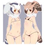  alternate_costume ass_visible_through_thighs bikini black_bikini blue_eyes blush breasts brown_eyes eurasian_eagle_owl_(kemono_friends) eyebrows_visible_through_hair fur_collar fur_trim grey_bikini head_wings highres kemono_friends looking_at_viewer micro_bikini mudou_eichi multicolored_hair multiple_girls navel northern_white-faced_owl_(kemono_friends) open_mouth pink_hair short_hair silver_hair simple_background small_breasts swimsuit white_hair 