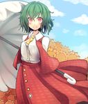  arms_behind_back ascot bad_id bad_pixiv_id blush cloud day field flower flower_field green_hair kazami_yuuka looking_at_viewer miysin nature parasol plaid plaid_skirt plaid_vest red_eyes skirt skirt_set smile solo sunflower touhou umbrella vest wind 