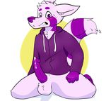  animal_genitalia anthro balls blues blush bottomless clothed clothing cum erection glans hoodie mammal penis purple_eyes purple_penis purtan sheath simple_background solo tanuki white_background 