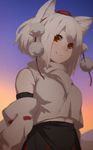  animal_ears bangs bare_shoulders belly_peek detached_sleeves hat highres inubashiri_momiji looking_at_viewer midriff navel pom_pom_(clothes) red_eyes short_hair silver_hair smile solo sunset terimayo tokin_hat touhou twilight white_hair wide_sleeves wolf_ears 