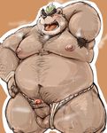  anthro ashigara backsack balls bear dripping erection kotobuki male mammal obese overweight overweight_male penis solo_focus spreading tokyo_afterschool_summoners 