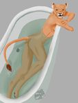  anthro bath bathroom fangs feline female fur lion mammal nude orange_fur simple_background snarling solo water yellow_eyes yenza 