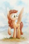  2017 brown_hair cannibalus cutie_mark day equine fan_character feathered_wings feathers female feral green_eyes hair hooves mammal my_little_pony outside pegasus smile solo standing wings 