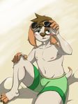  anthro beach blush canine clothing dog eyewear hakiahki male mammal open_mouth outside seaside shota smile sunbathing swimsuit young 