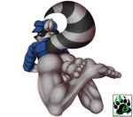 anthro balls blackbear bottomless butt clothed clothing male mammal raccoon sly_cooper sly_cooper_(series) video_games 