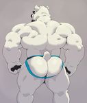  2017 anthro back_muscles bear beard biceps big_biceps big_muscles black_nose blue_eyes butt claws clothed clothing facial_hair grey_background huge_muscles jockstrap male mammal manly muscular muscular_male partially_clothed pawpads paws polar_bear pose rear_view simple_background solo taoren thick_thighs underwear white_skin 