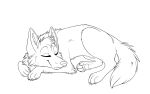  aseethe canine coyote digital_media_(artwork) eyes_closed feral line_art lying mammal paws sleeping smile solo 