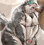 ashigara bear canine cum horkeukamui kotobuki male male/male mammal obese oral overweight slightly_chubby tokyo_afterschool_summoners wolf 
