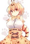 animal_ears animal_print arms_behind_back bare_shoulders blonde_hair bow bowtie breasts closed_mouth covered_nipples elbow_gloves extra_ears fuuen_(akagaminanoka) gloves high-waist_skirt highres kemono_friends large_breasts looking_at_viewer paw_background paw_print print_gloves print_neckwear print_skirt serval_(kemono_friends) serval_ears serval_print serval_tail shirt short_hair simple_background skirt sleeveless sleeveless_shirt smile solo standing tail upper_body white_shirt yellow_eyes 