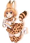  absurdres animal_ears bangs blonde_hair blouse blush bow breasts brown_bow brown_gloves brown_legwear buta_tamako commentary_request elbow_gloves extra_ears eyebrows_visible_through_hair full_body gloves highres kemono_friends legs_together looking_at_viewer medium_breasts open_mouth serval_(kemono_friends) serval_ears serval_print serval_tail shadow short_hair simple_background sleeveless_blouse smile solo tail thighhighs white_background white_blouse yellow_eyes 