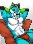  bulge canine clothing fox fur green_eyes green_fur jockstrap male mammal pillow pinup pose solo tsaiwolf underwear 