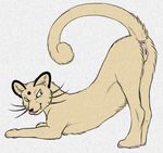  anus ass_up butt cat feline female feral looking_back mammal nintendo pencil_(artwork) persian pok&eacute;mon presenting presenting_hindquarters pussy python13rp simple_background solo tongue tongue_out traditional_media_(artwork) video_games whiskers white_background yaroul 
