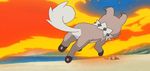  animated animated_gif dog fire pokemon pokemon_(anime) pokemon_sm pokemon_sm_(anime) rockruff tail_on_fire water 