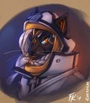  2019 alternate_species ana_(overwatch) anthro bastet black_fur blizzard_entertainment bust_portrait cat clothed clothing deity digital_media_(artwork) egyptian feline female fluff-kevlar fur furgonomics hair hood looking_at_viewer mammal markings overwatch portrait simple_background smile solo video_games whiskers white_hair yellow_eyes 