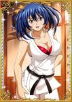  00s 1girl bashoku_youjou bra breasts card_(medium) female ikkitousen large_breasts long_hair looking_at_viewer shiny_skin smile twintails 