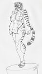  anthro big_breasts breasts feline female krocialblack kung_fu_panda mammal master_tigress solo tiger 