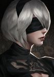  black_dress black_hairband blindfold breasts cleavage cleavage_cutout covered_eyes dress hair_over_one_eye hairband highres juliet_sleeves lips long_sleeves looking_away medium_breasts nier_(series) nier_automata nose parted_lips paula_biedma pink_lips portrait profile puffy_sleeves red_lips short_hair silver_hair solo turtleneck upper_body yorha_no._2_type_b 