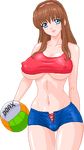  1girl ball breasts dead_or_alive erect_nipples hitomi_(doa) huge_breasts looking_at_viewer pixel_art warner 