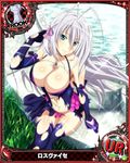  1girl blue_eyes breasts high_school_dxd large_breasts rossweisse silver_hair tagme 