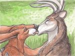  antlers cervine cuntboy cuntboy/male deer horn intersex intersex/male jayne_doe kangaroo kissing male mammal marsupial maskedhusky nathan_granier traditional(media) 