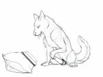  animated canid canine canis cum dog ejaculation female feral koosh-ball mammal masturbation orgasm pussy_ejaculation pussy_juice sex_toy solo vibrator wet 