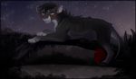  black_hair detailed_background feline feral fur grey_eyes grey_fur hair kitchiki lion lying mammal night nude outside paws sky smile solo star starry_sky 