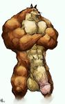  abs anthro aokmaidu balls biceps big_balls big_muscles bleach canine crossed_arms erection flaccid huge_muscles huge_penis hyper hyper_penis komamura_sajin looking_at_viewer male mammal muscles nude pecs penis plain_background pose sajin_komamura scary shinigami solo white_background wolf 