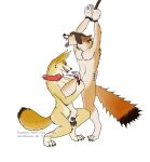 2015 4_toes 5_fingers animal_genitalia animal_penis anthro arms_above_head balls becca_(fennec) biped blood bodily_fluids breasts brown_eyes canid canine canine_genitalia canine_penis castration cock_and_ball_torture dated dominant dominant_female duo ears_back english_text erection eyes_closed fangs feet female fennec_fox fingers fox full-length_portrait fur genital_mutilation genital_torture genitals gore male male/female mammal medium_breasts multicolored_body multicolored_fur mutilation nude_female nude_male on_one_leg pain paradim penectomy penis pivoted_ears portrait pussy scissors severed_body_part severed_genitals severed_penis signature simple_background smile standing submissive submissive_male sueanoi tail teeth text tiptoes toes true_fox white_background wrists_tied yellow_body yellow_fur