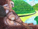  2017 absurd_res anthro avian beak big_breasts big_butt bird_lady_(fluffyfurrybutt) black_feathers breasts brown_feathers butt butt_markings cloud colored_pencil_(artwork) crossed_legs detailed_background feathers female fluffyfurrybutt forest grass hand_on_butt hi_res lake markings mountain non-mammal_breasts nude pinup pose presenting presenting_hindquarters presenting_pussy pussy signature smile smirk solo spread_butt spreading tail_feathers talons traditional_media_(artwork) tree 