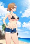  1girl :d armpits bangs bare_arms bare_shoulders beach bikini bikini_under_clothes black_bikini blue_sky blurry blurry_background blush breasts brown_hair cleavage cloud cloudy_sky collarbone contrapposto day denim denim_shorts depth_of_field eyewear_on_head girls_frontline grizzly_mkv grizzly_mkv_(girls_frontline) groin gun hand_on_hip highres holding holding_gun holding_weapon horizon lens_flare light_rays looking_away medium_breasts narynn navel ocean open_fly open_mouth outdoors palm_tree profile purple_eyes short_hair short_shorts shorts sidelocks sky smile solo standing stomach sunbeam sunglasses sunlight swimsuit tree twitter_username upper_teeth water weapon 