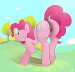  anus braddo cutie_mark dock equine female friendship_is_magic looking_at_viewer mammal my_little_pony one_eye_closed pinkie_pie_(mlp) pussy solo tongue tongue_out wink 