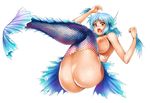  ass blue_hair blush breasts commentary_request fins fish_tail full_body gen_(genetrix) gills head_fins large_breasts looking_at_viewer mermaid monster_girl nipples nude open_mouth orange_eyes original saliva short_hair solo tail tongue tongue_out white_background 