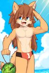  anthro armpits athletic beach bulge canine clothing dog facial_scar front_view hair long_hair male mammal navel open_mouth pecs red_savarin salute seaside signature smile solatorobo solo speedo standing swimsuit video_games whiteleo 